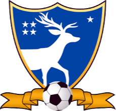 https://img.hokejmanie.com/img/football/team/3c5892610a922e20fdba01565fa6643b.png